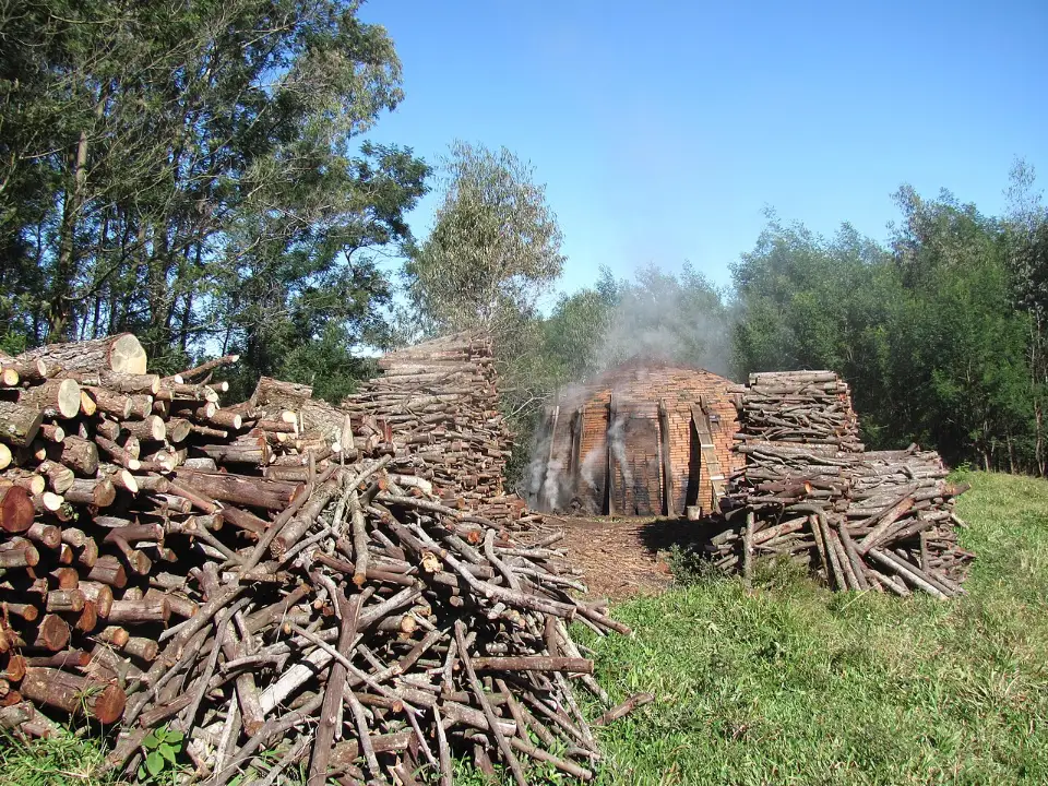 Leña apilada junto a un horno de ladrillo que humea